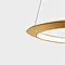 modern pendant lighting,Ring pendant light and gold ceiling lights
